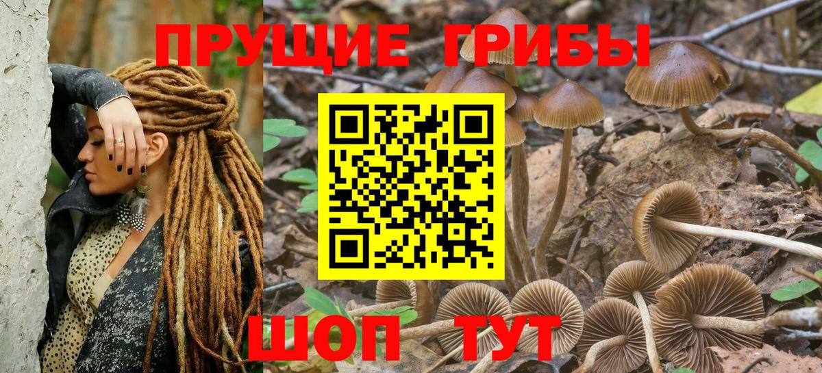 Галлюциногенные грибы GOLDEN TEACHER Вязники