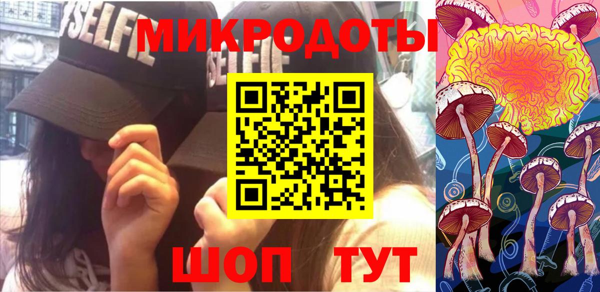 Вязники  купить  сайты  Вход с VPN  Галлюциногенные грибы GOLDEN TEACHER  Псилоцибиновые грибы Psilocybe 